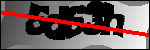 النص للتعريف
